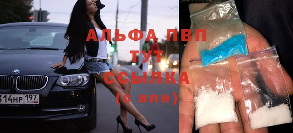 сатива Балахна