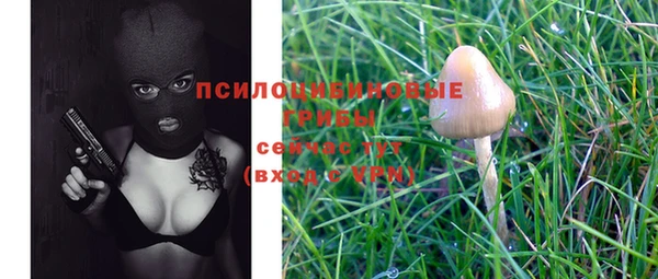 эйфоретик Белокуриха