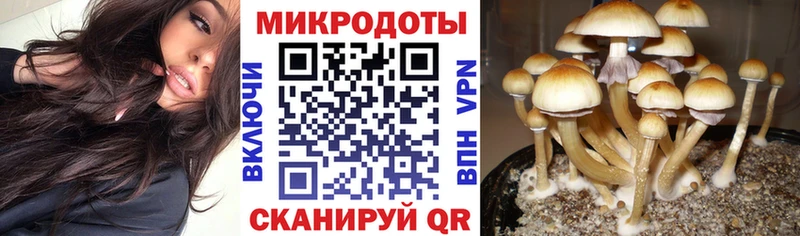 mega ссылка Семикаракорск Галлюциногенные грибы GOLDEN TEACHER